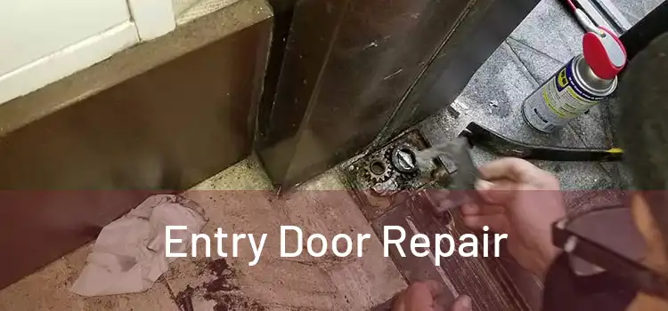 Entry Door Repair
