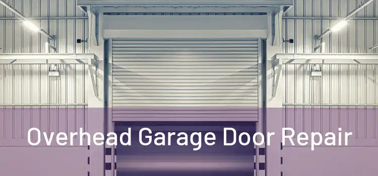  Overhead Garage Door Repair 